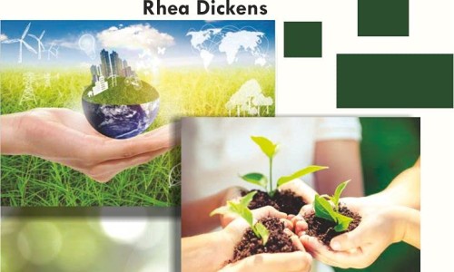 香百露功效网 :分享百夀香菸-陣香露白露片的功效與作用知识