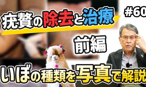 陣香露白露片的功效與作用-香百露功效网 :分享百夀香菸-陣香露白露片的功效與作用知识